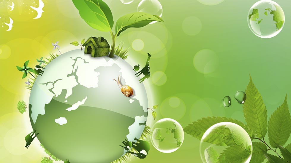 BIOENERGIA – co to jest i skąd pochodzi?